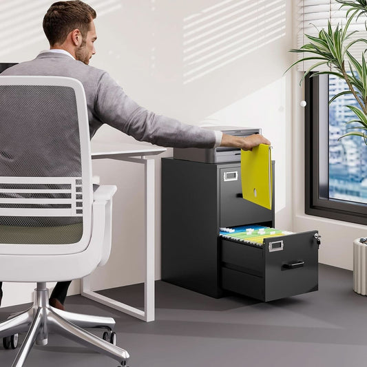 Vertical File Cabinet, 2 drawer