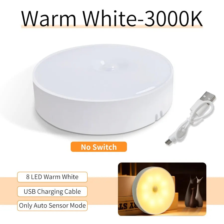 Rechargeable LED Lights, Motion Sensor