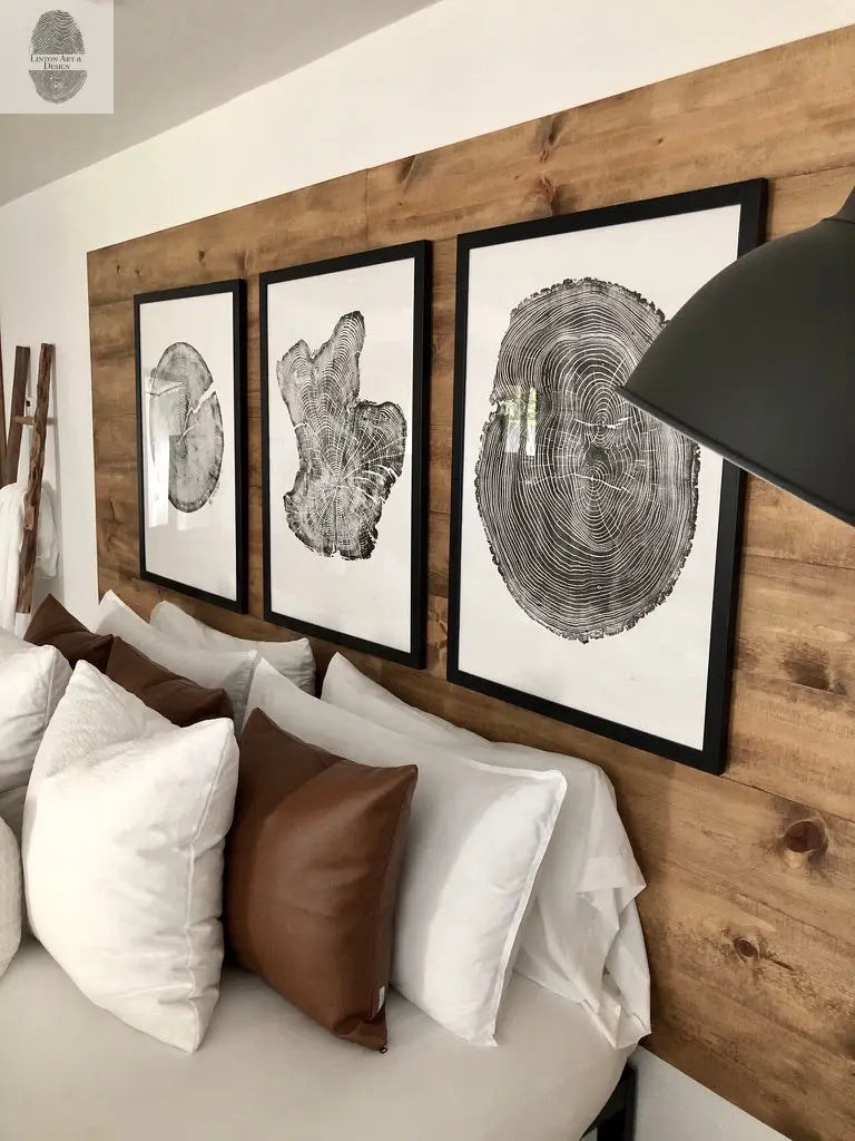 Tree Ring Triptych Wall Art
