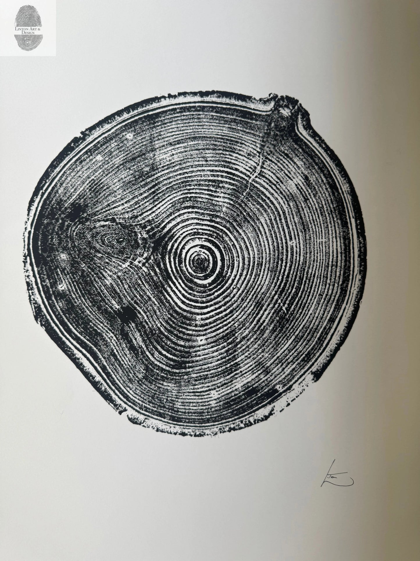 Aspen Tree Print – Original Signed