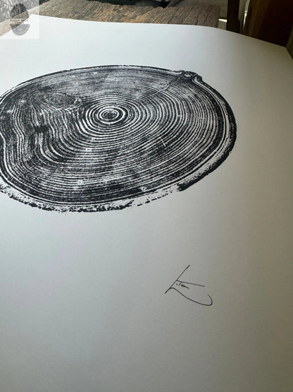 Aspen Tree Print – Original Signed