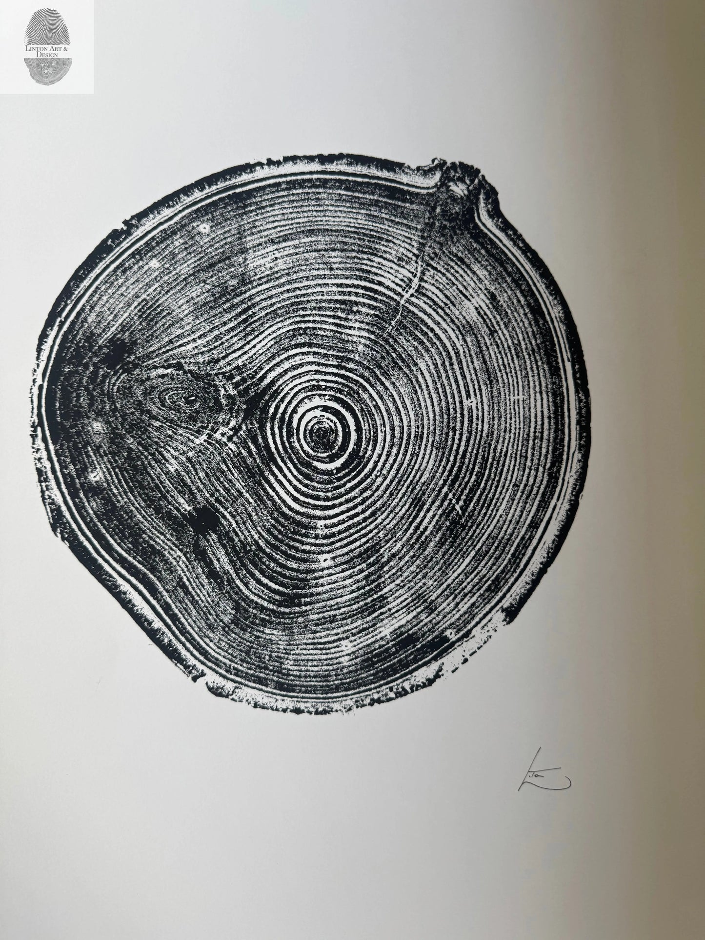 Aspen Tree Print – Original Signed