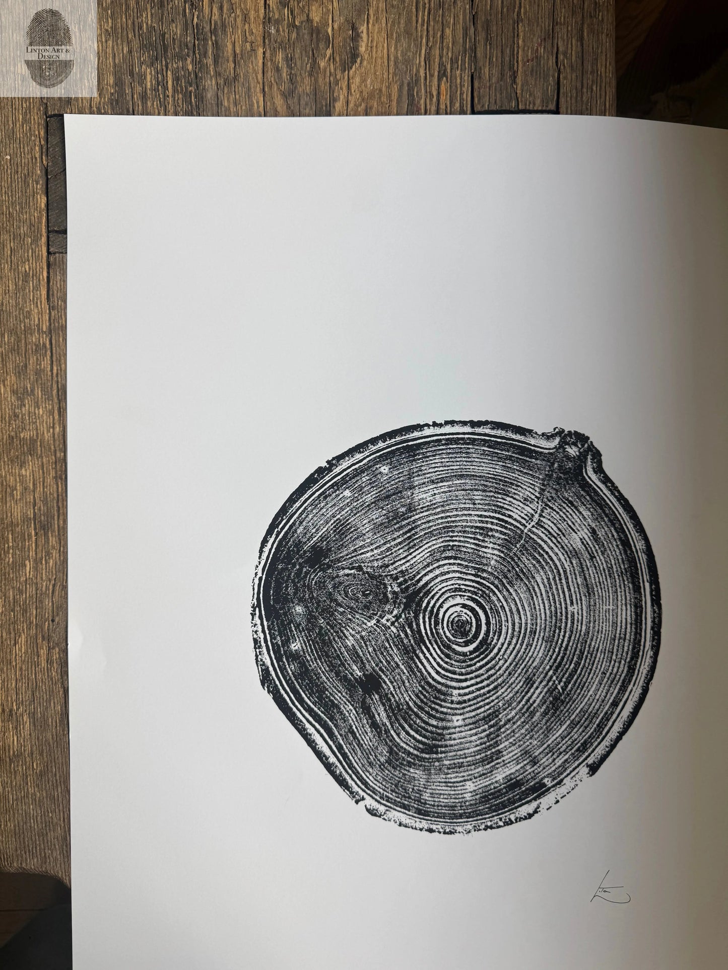 Aspen Tree Print – Original Signed