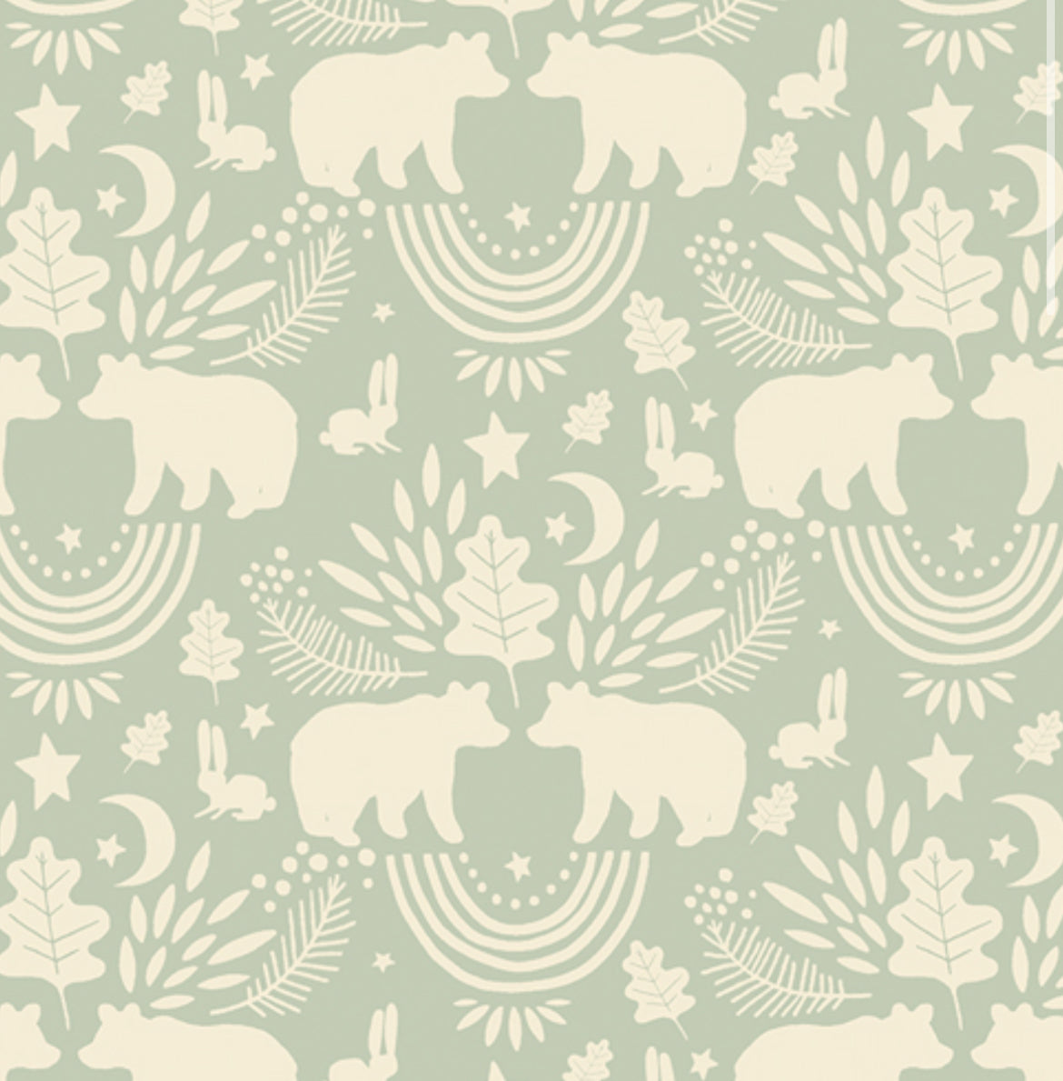 Reusable Paper Towels