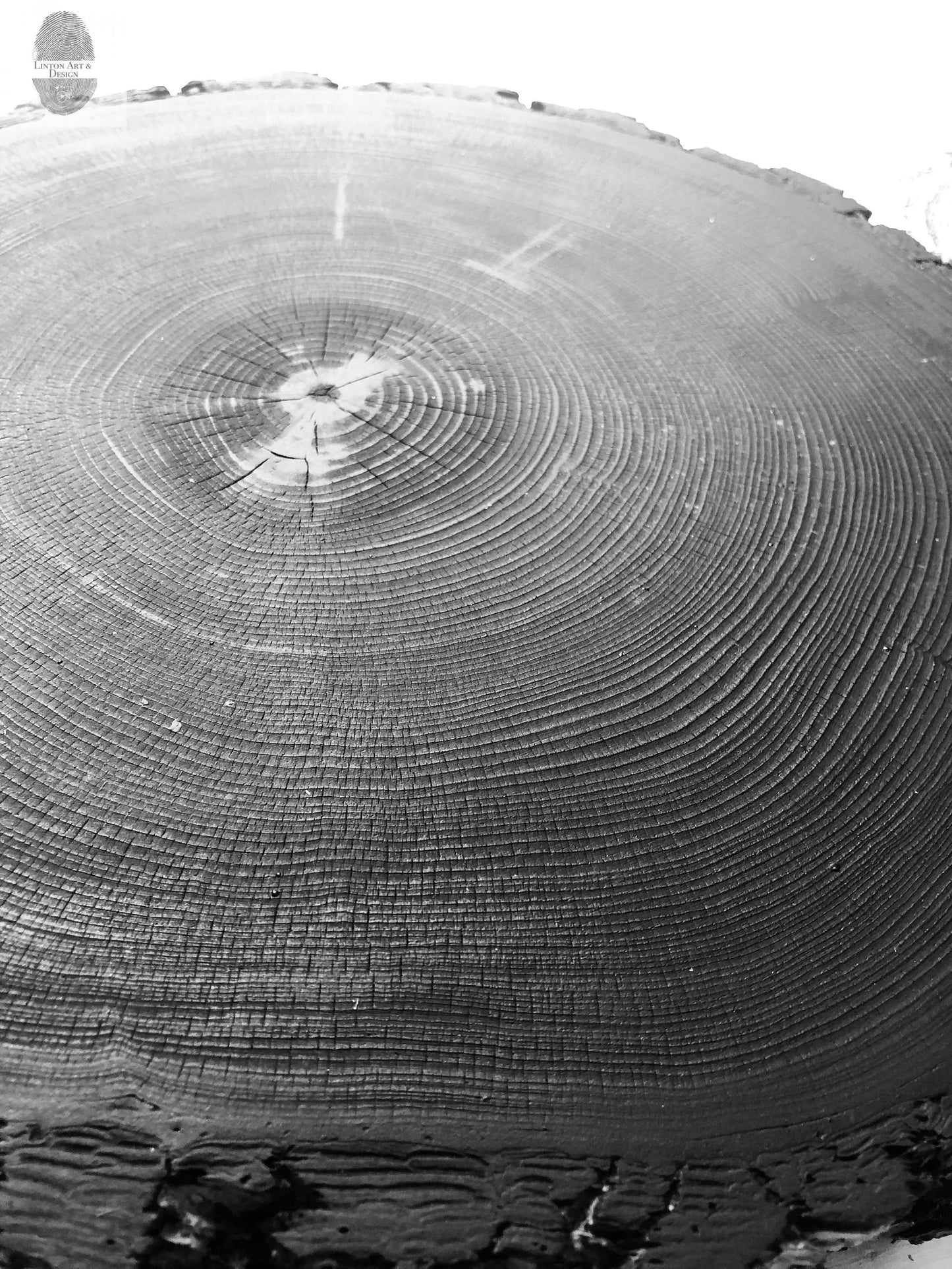 Denver Rocky Mountains Tree Art, Woodcut Print
