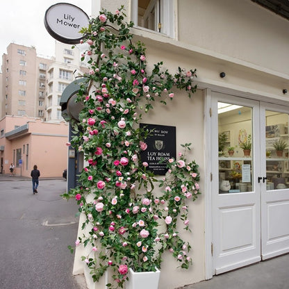 Pink Rose  Flower Wall Climbing Flower Vines for Outdoor and Events