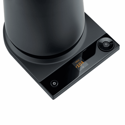 Electric Tea Kettle