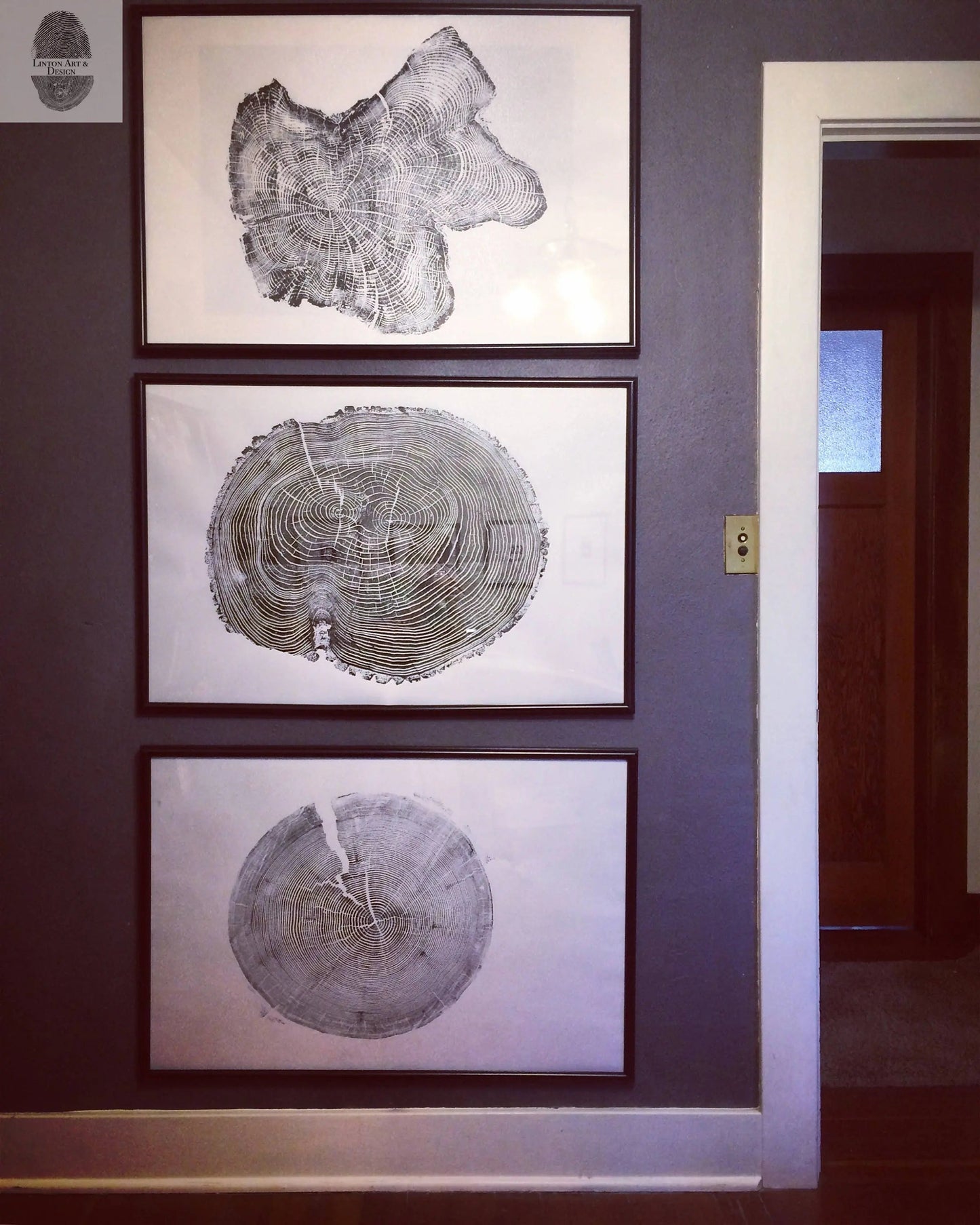 Ohio Ash Tree Ring Print ;Signed Original