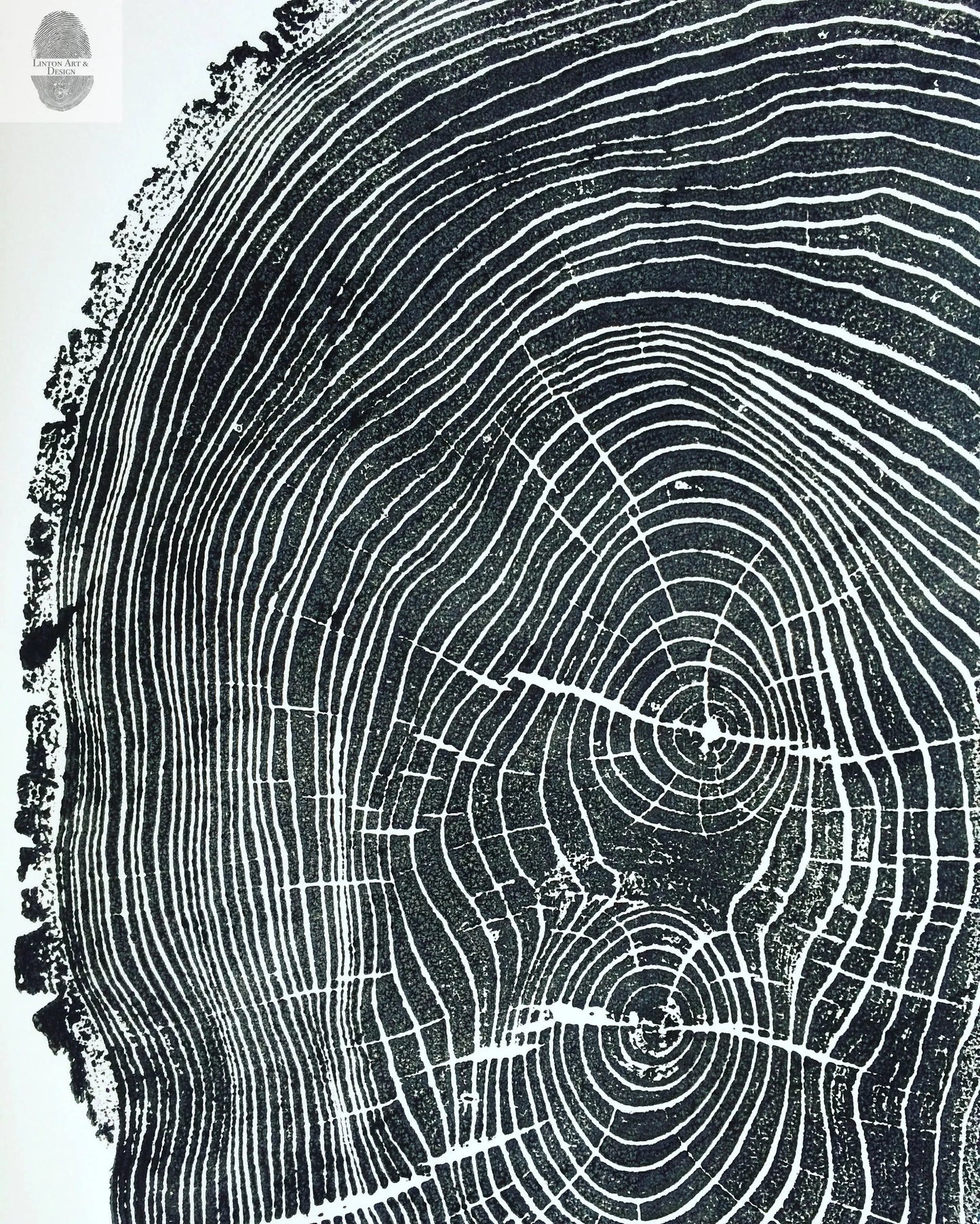 Ohio Ash Tree Ring Print ;Signed Original