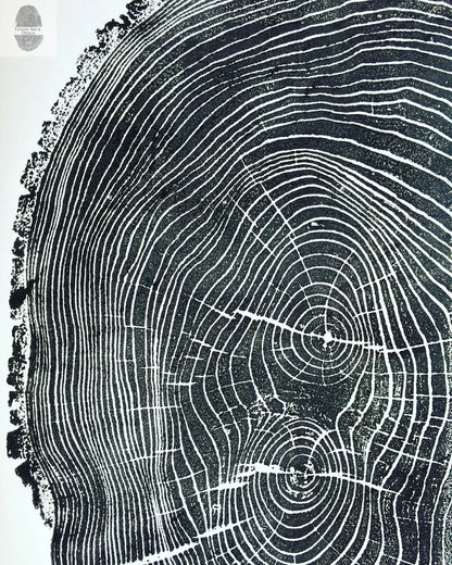 Ohio Ash Tree Ring Print ;Signed Original