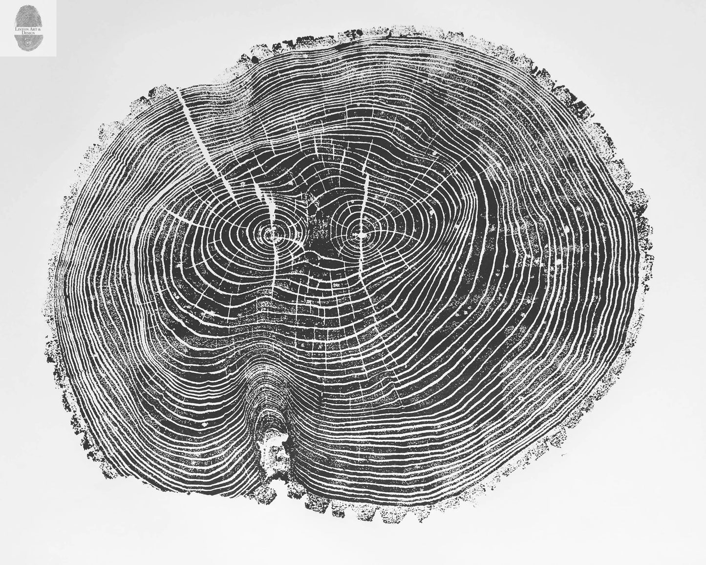 Ohio Ash Tree Ring Print ;Signed Original