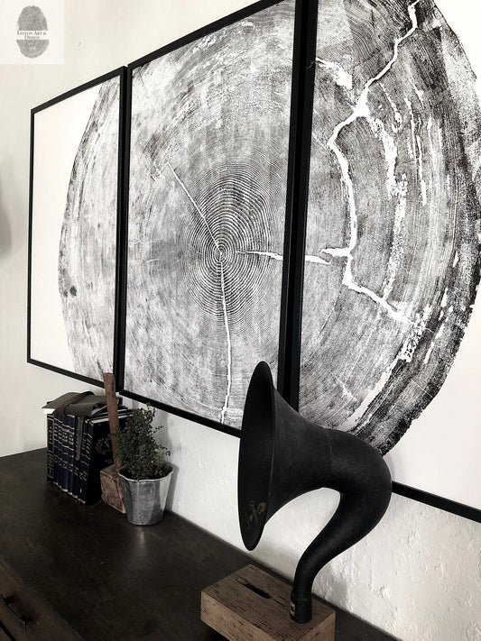 372-Year-Old Sitka Spruce Tree Ring Print Set