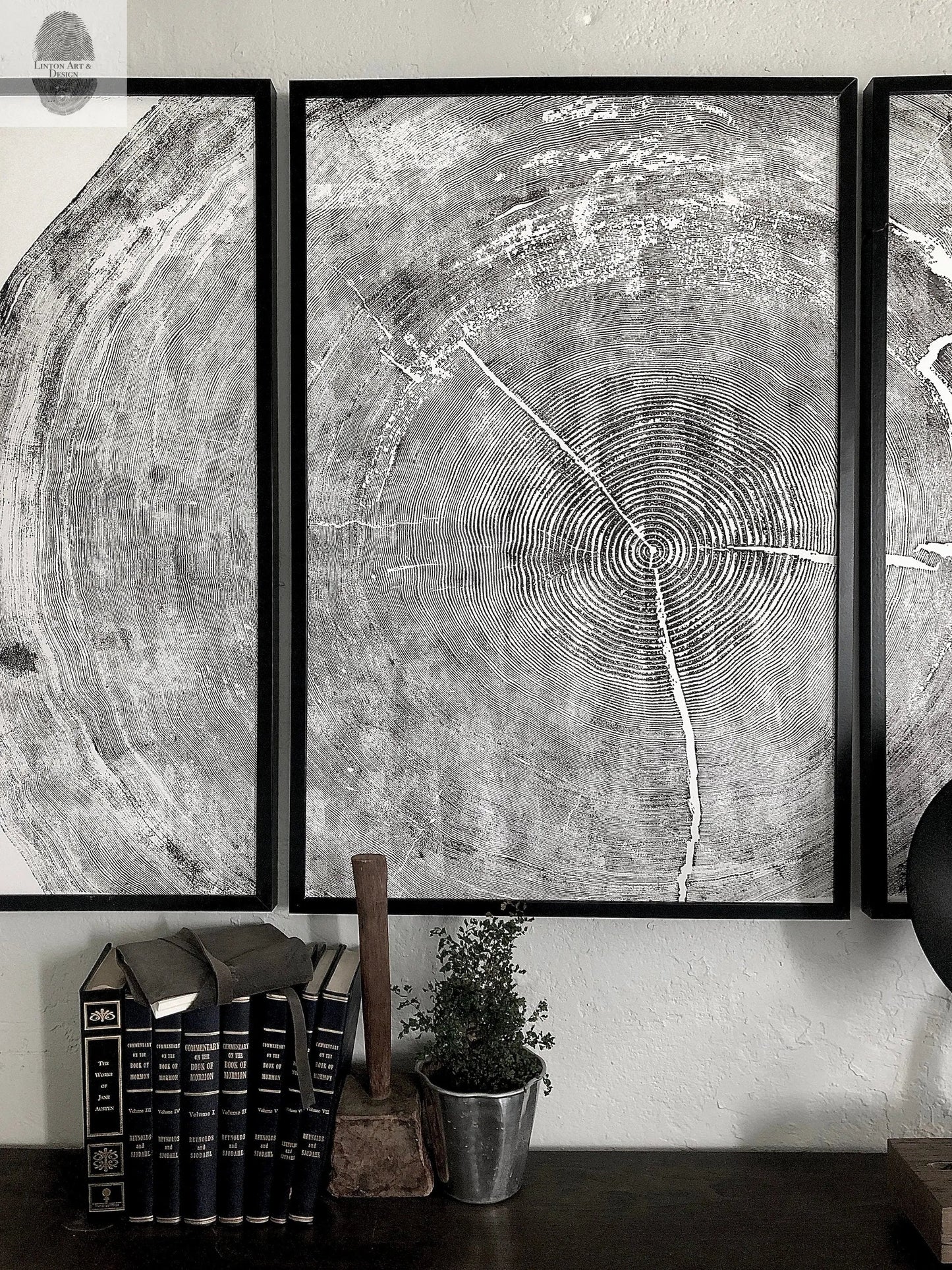 372-Year-Old Sitka Spruce Tree Ring Print Set