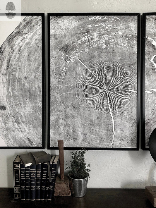 372-Year-Old Sitka Spruce Tree Ring Print Set