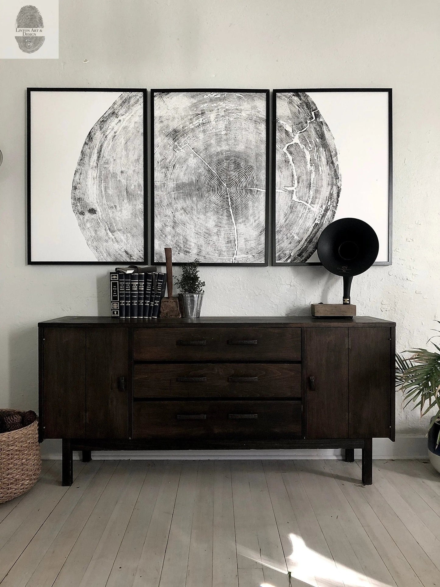372-Year-Old Sitka Spruce Tree Ring Print Set