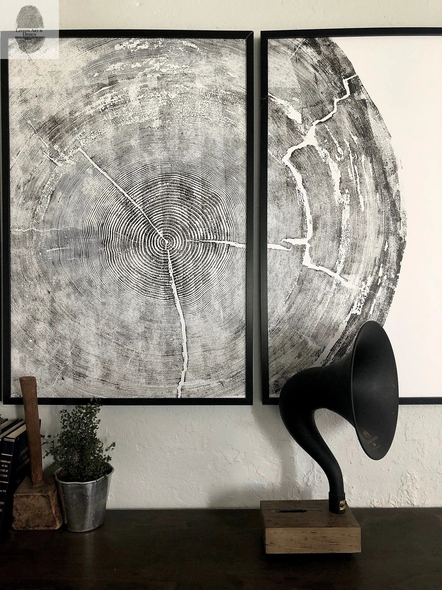 372-Year-Old Sitka Spruce Tree Ring Print Set