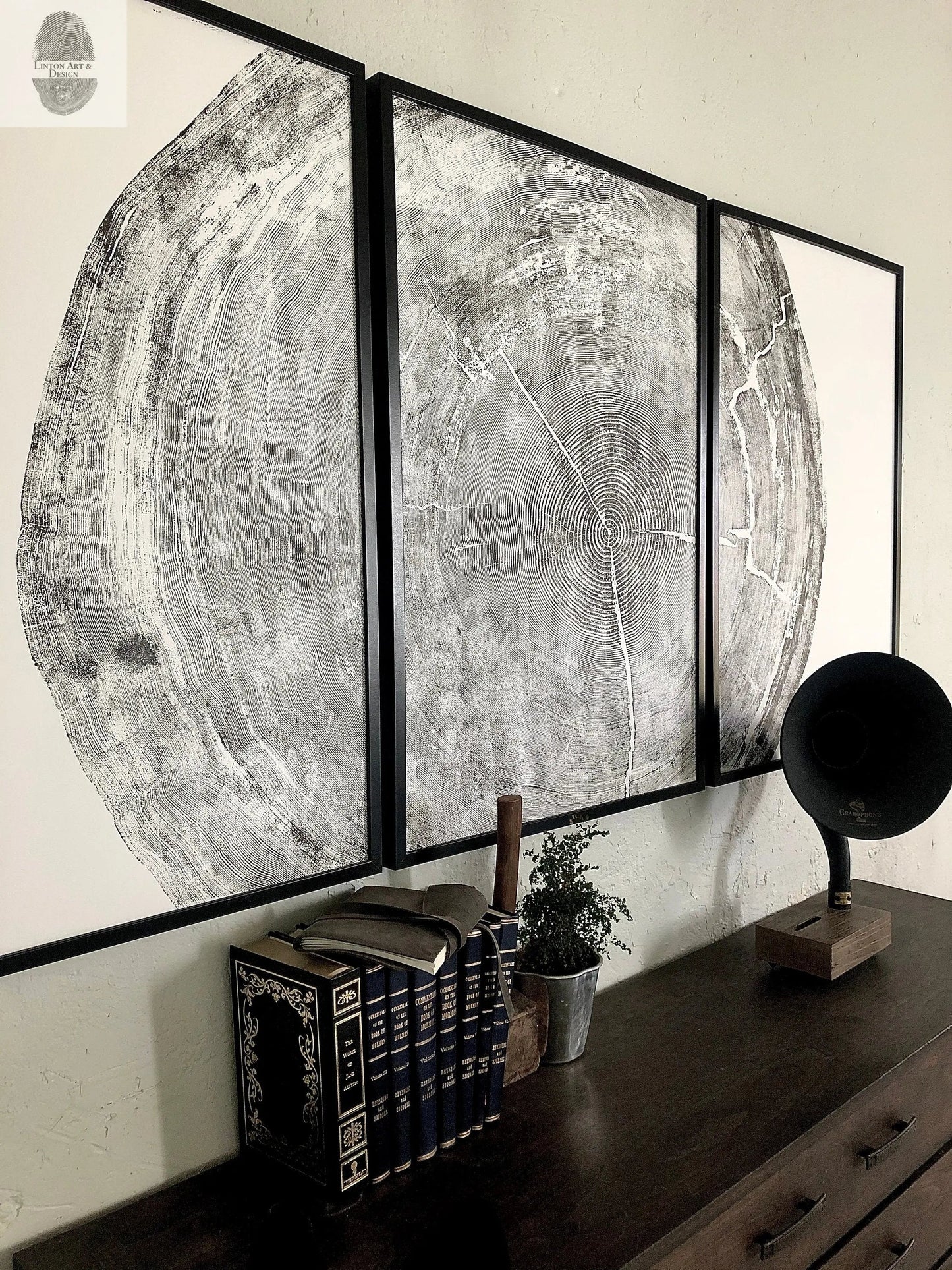 372-Year-Old Sitka Spruce Tree Ring Print Set