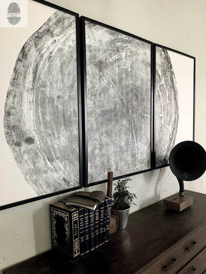 372-Year-Old Sitka Spruce Tree Ring Print Set