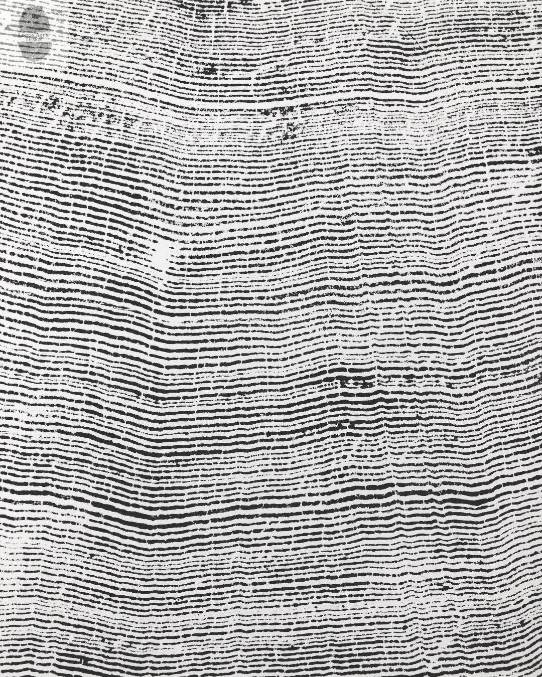 372-Year-Old Sitka Spruce Tree Ring Print Set