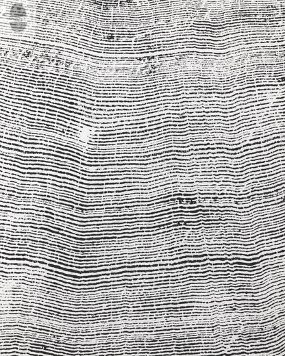 372-Year-Old Sitka Spruce Tree Ring Print Set