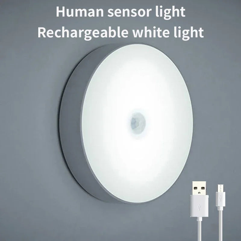 LED Cabinet Lights MotionSensor/Magnetic Suction