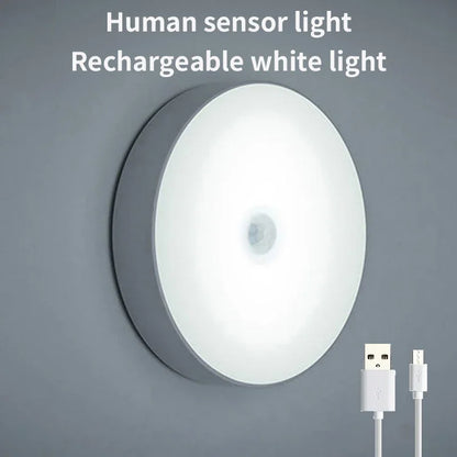 LED Cabinet Lights MotionSensor/Magnetic Suction