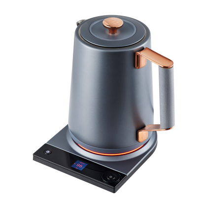 Electric Tea Kettle