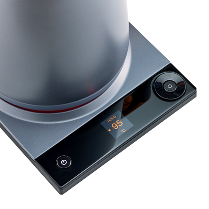 Electric Tea Kettle