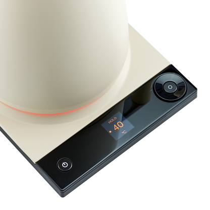 Electric Tea Kettle