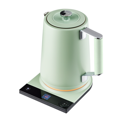 Electric Tea Kettle