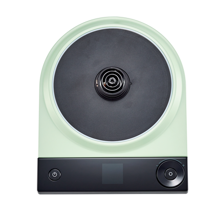Electric Tea Kettle