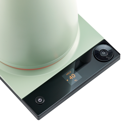Electric Tea Kettle