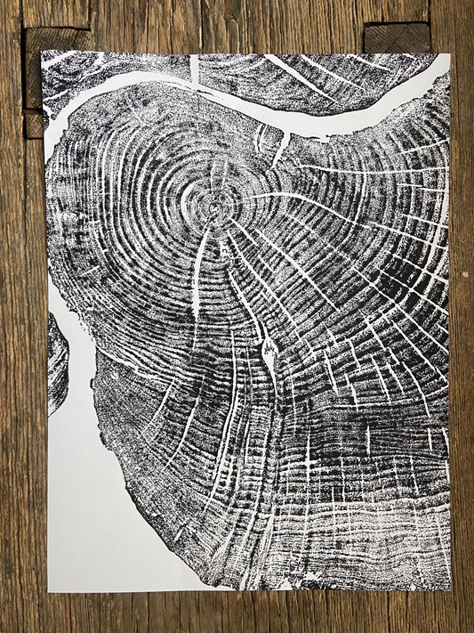 Sugar Maple, Cropped, Limited Edition; Hand pressed and signed.
