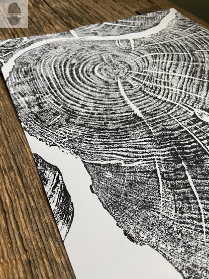 Sugar Maple, Cropped, Limited Edition; Hand pressed and signed.