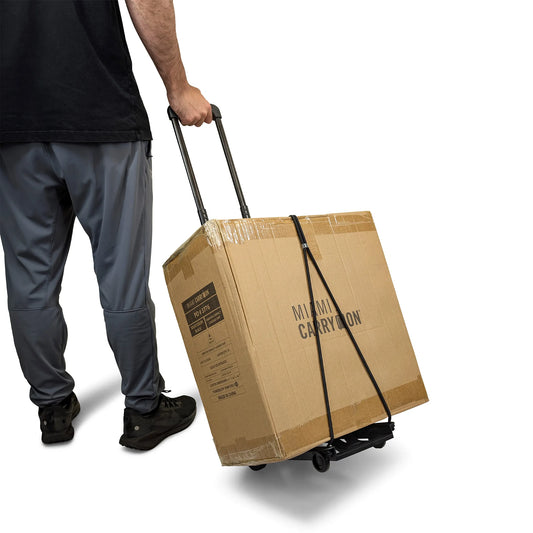 Folding Luggage Cart/Dolly