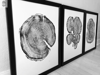 Three Panel Tree Blocks, Woodcut print, Signed Original