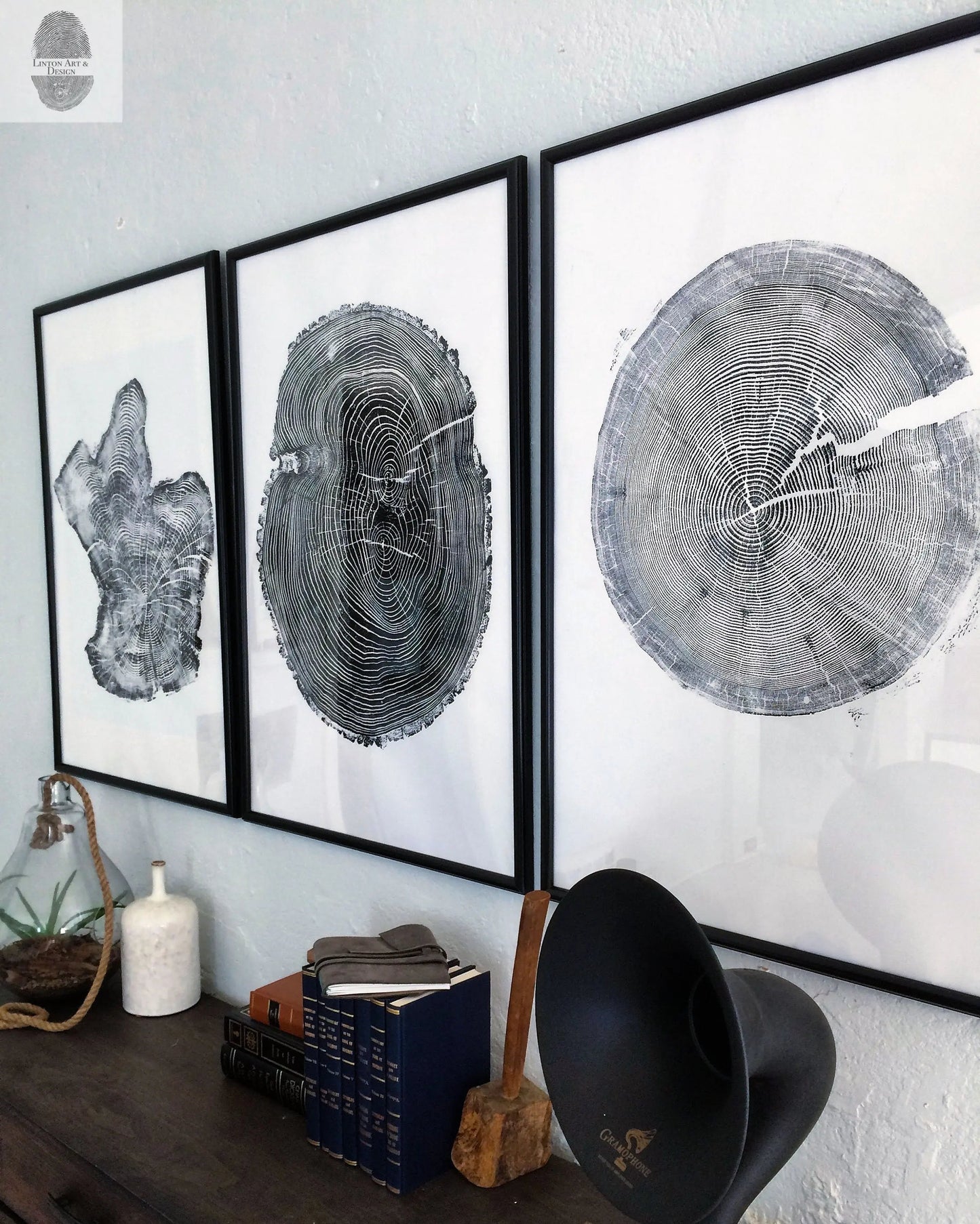 Tree Ring Triptych Wall Art