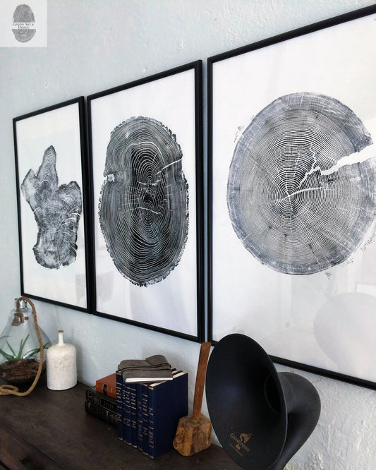 Tree Ring Triptych Wall Art