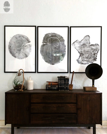 Tree Ring Triptych Wall Art