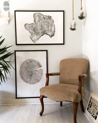 Tree Ring Triptych Wall Art