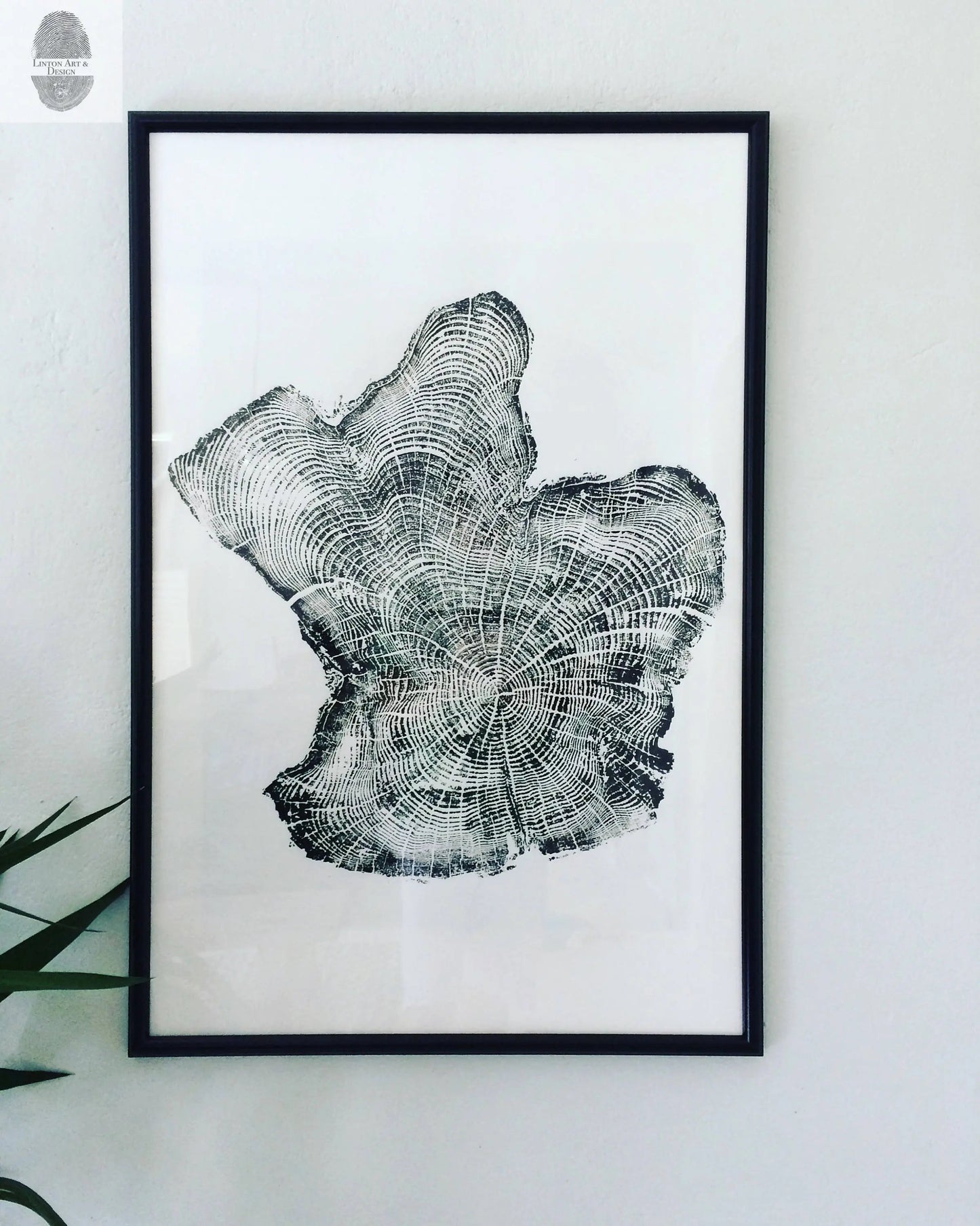 Tree Ring Triptych Wall Art