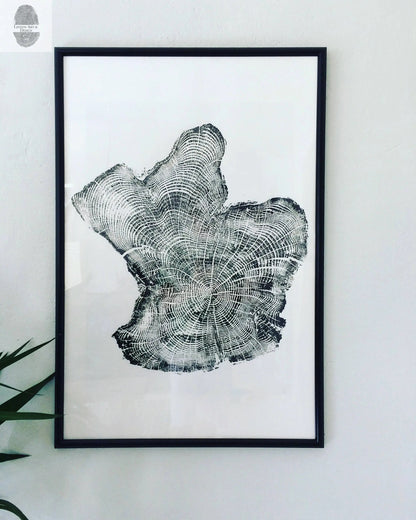 Tree Ring Triptych Wall Art