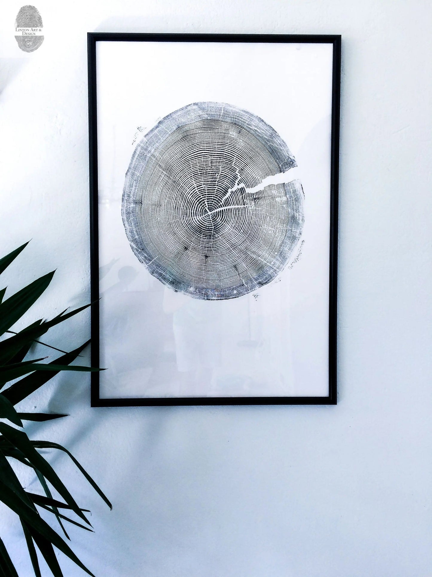 Tree Ring Triptych Wall Art