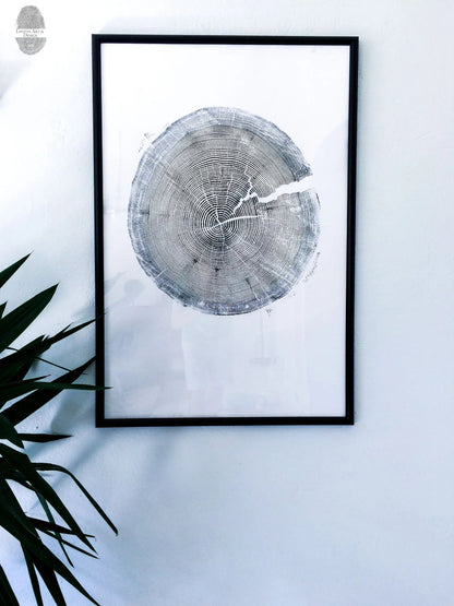 Tree Ring Triptych Wall Art