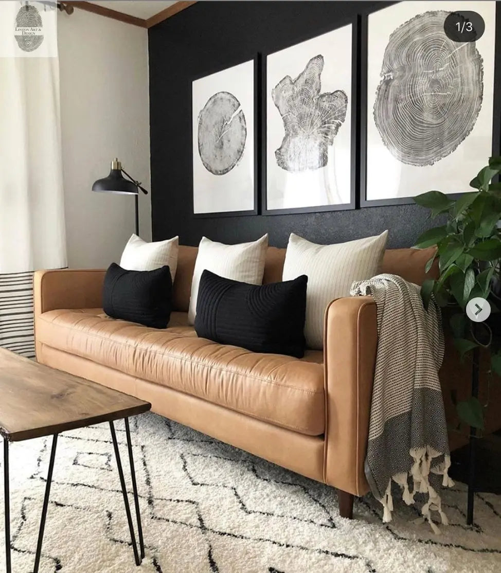 Tree Ring Triptych Wall Art