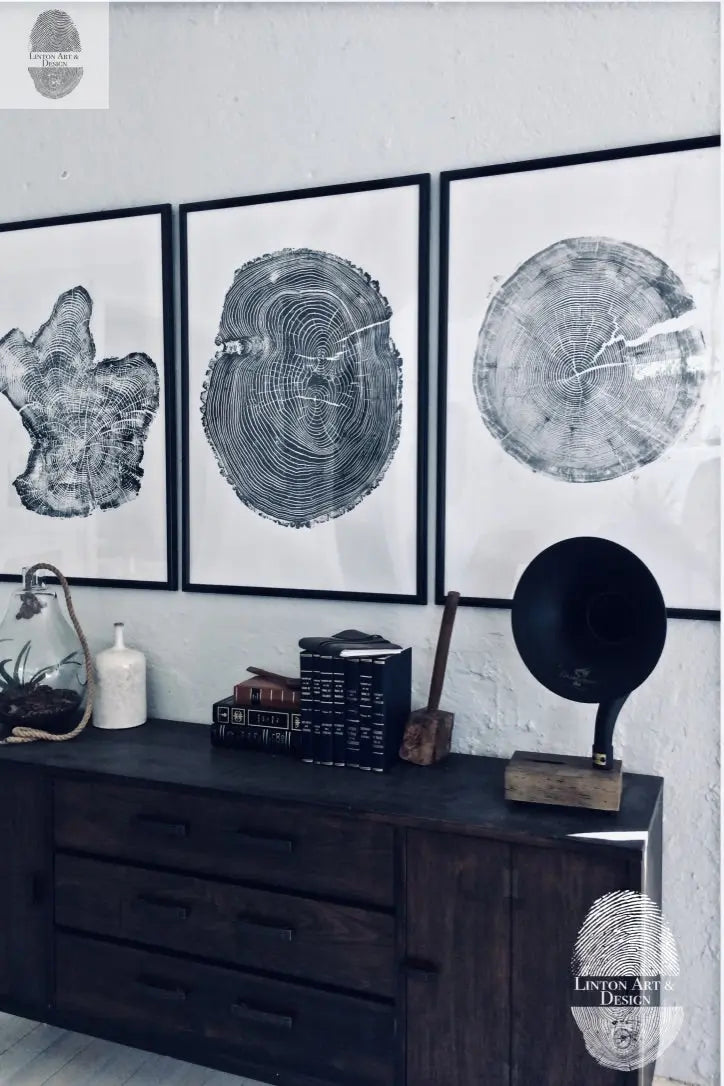 Tree Ring Triptych Wall Art