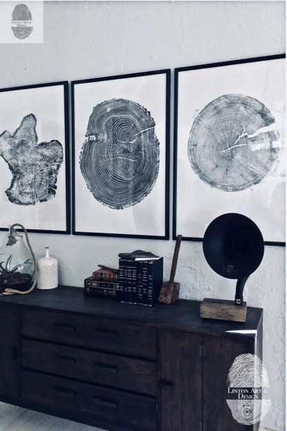 Tree Ring Triptych Wall Art