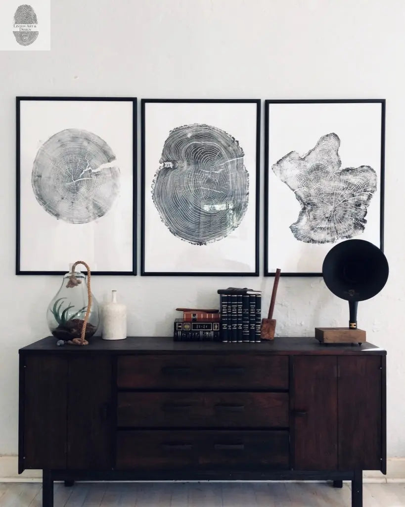 Tree Ring Triptych Wall Art
