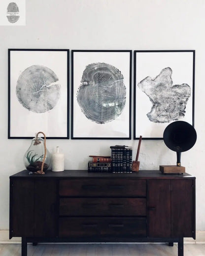 Tree Ring Triptych Wall Art