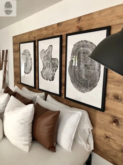 Tree Ring Triptych Wall Art